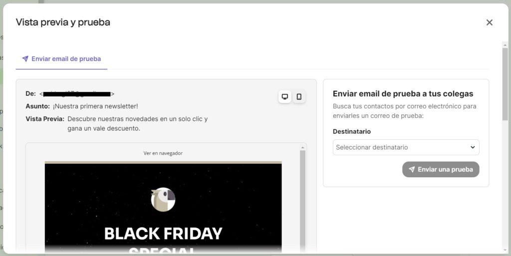 vista-previa-de-newsletter-y-prueba