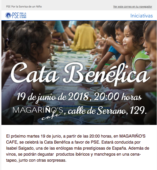 newsletter ejemplos