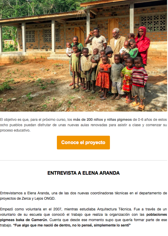 Ejemplo de newsletter: ONG (2).